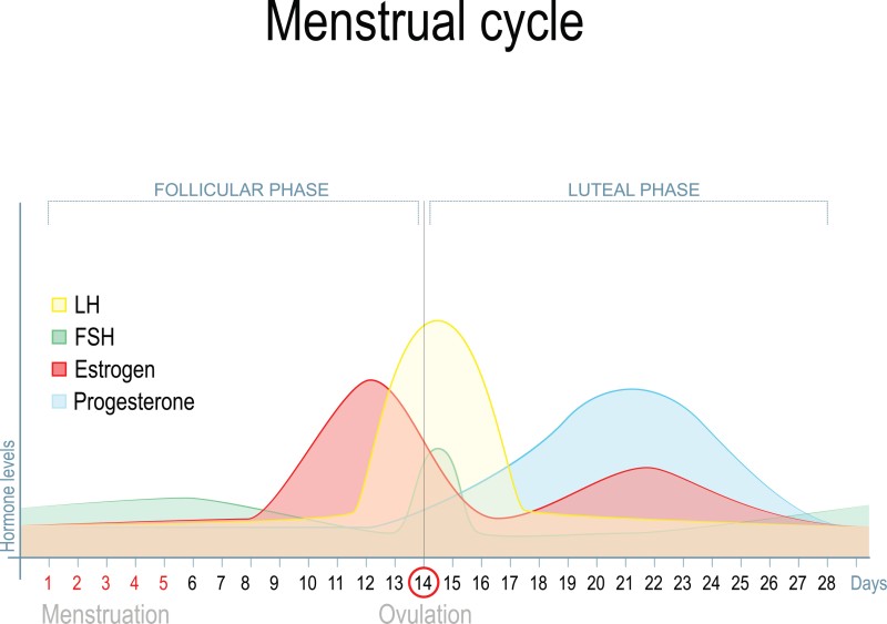 여자의 한달 성욕 정리 (생리주기&섹스욕구) : 네이버 블로그