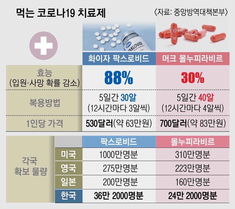 재택치료자 등 '5일간 하루 2번' 복용… “위중증 예방 효과 89%” | 서울신문