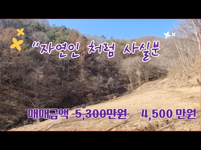 No.135 자연인으로 사실분/제천 봉양 1034평 5300만원/농막용 쉼터 토지 - Youtube