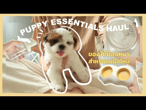 Puppy Essentials Haul | ของใช้น้องหมา สำหรับแม่มือใหม่